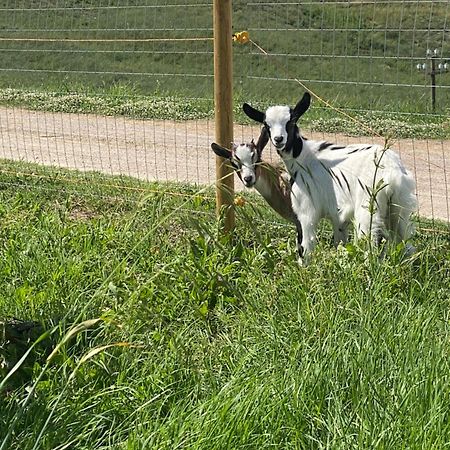 Certine Agriturismo Villa Asciano Eksteriør bilde