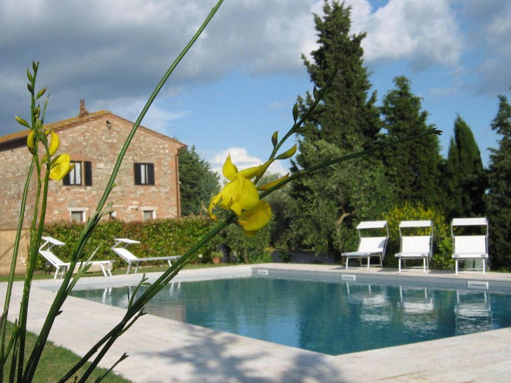 Certine Agriturismo Asciano Eksteriør bilde
