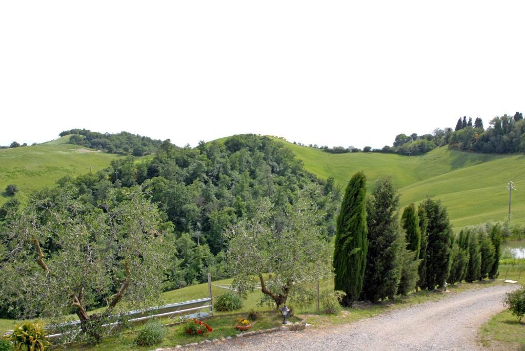 Certine Agriturismo Asciano Eksteriør bilde